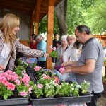 Flower distribution has started in Debrecen