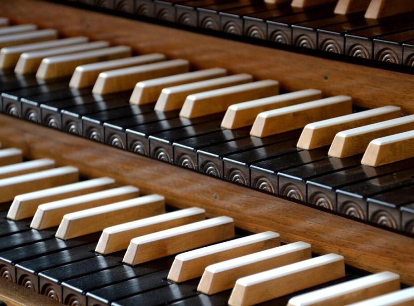 Organ_instrument