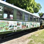Winners of the "Green Locomotive, Green Forest, Green City" drawing competition announced