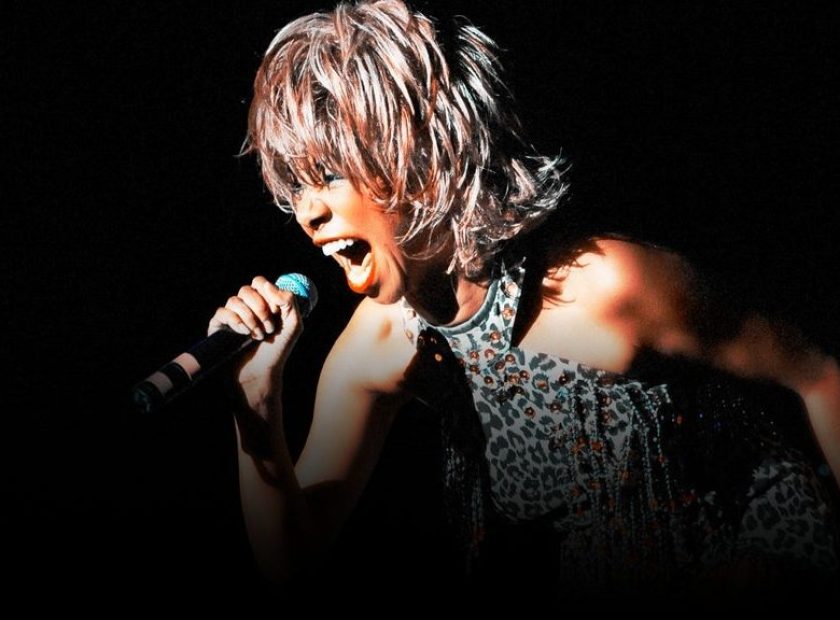 Tina Turner Show