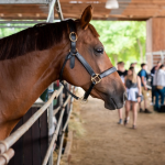 The Farmer Expo will be held at the end of August again this year