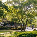 Debrecen can become the European Green Capital thanks to the outstanding approach