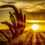 Third-degree heat warning extended until Friday midnight