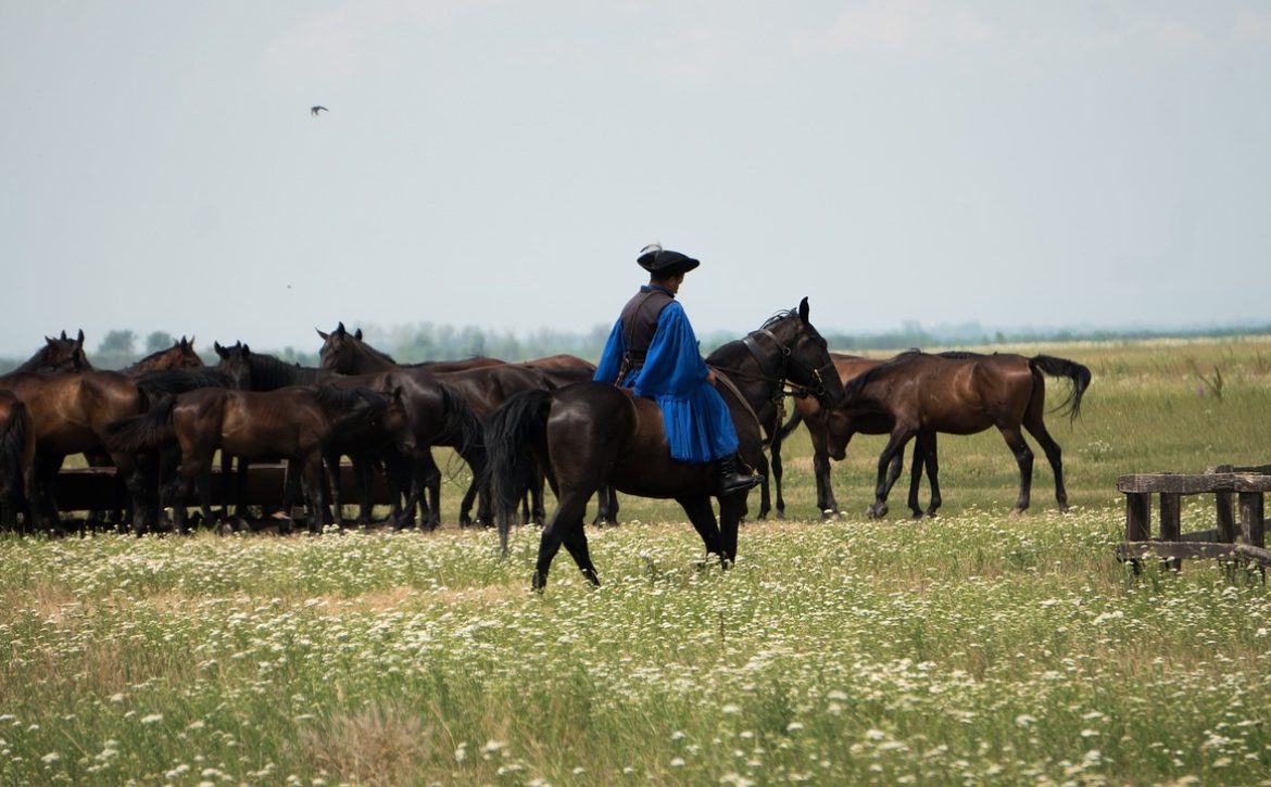 HortobágyEquestrian days