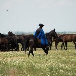 Hortobágy Equestrian Days cannot be held in the anniversary year