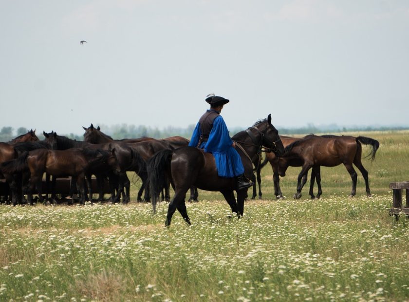 HortobágyEquestrian days