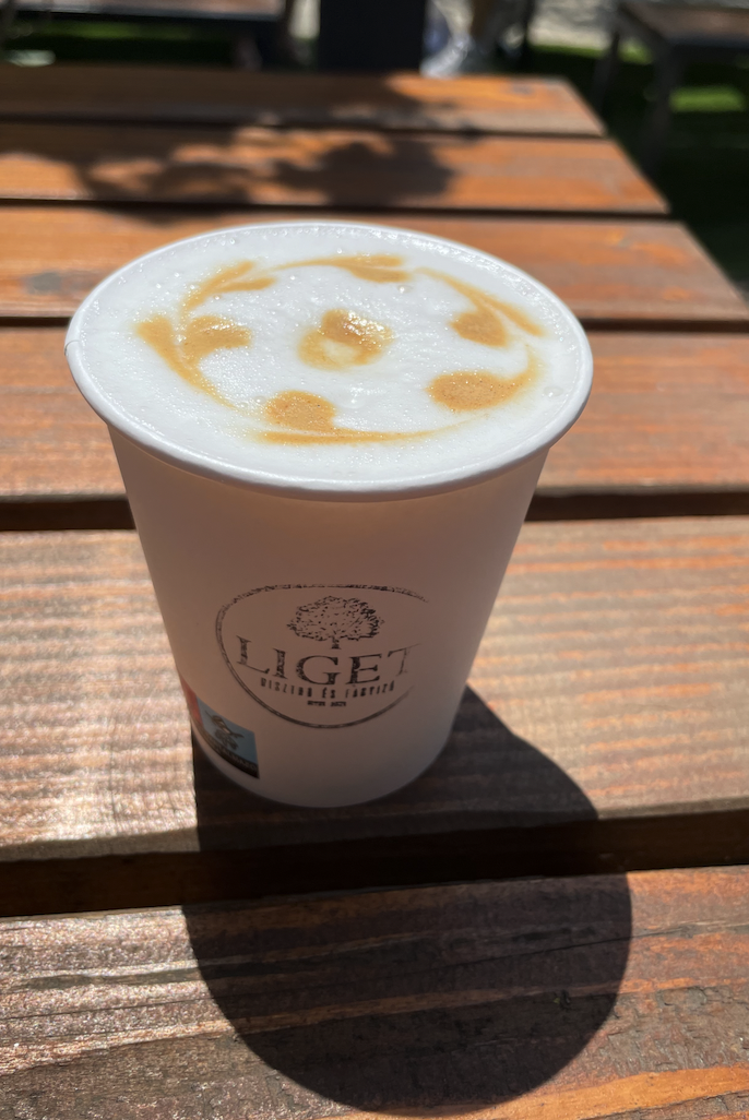Liget Bistro ownphoto JB