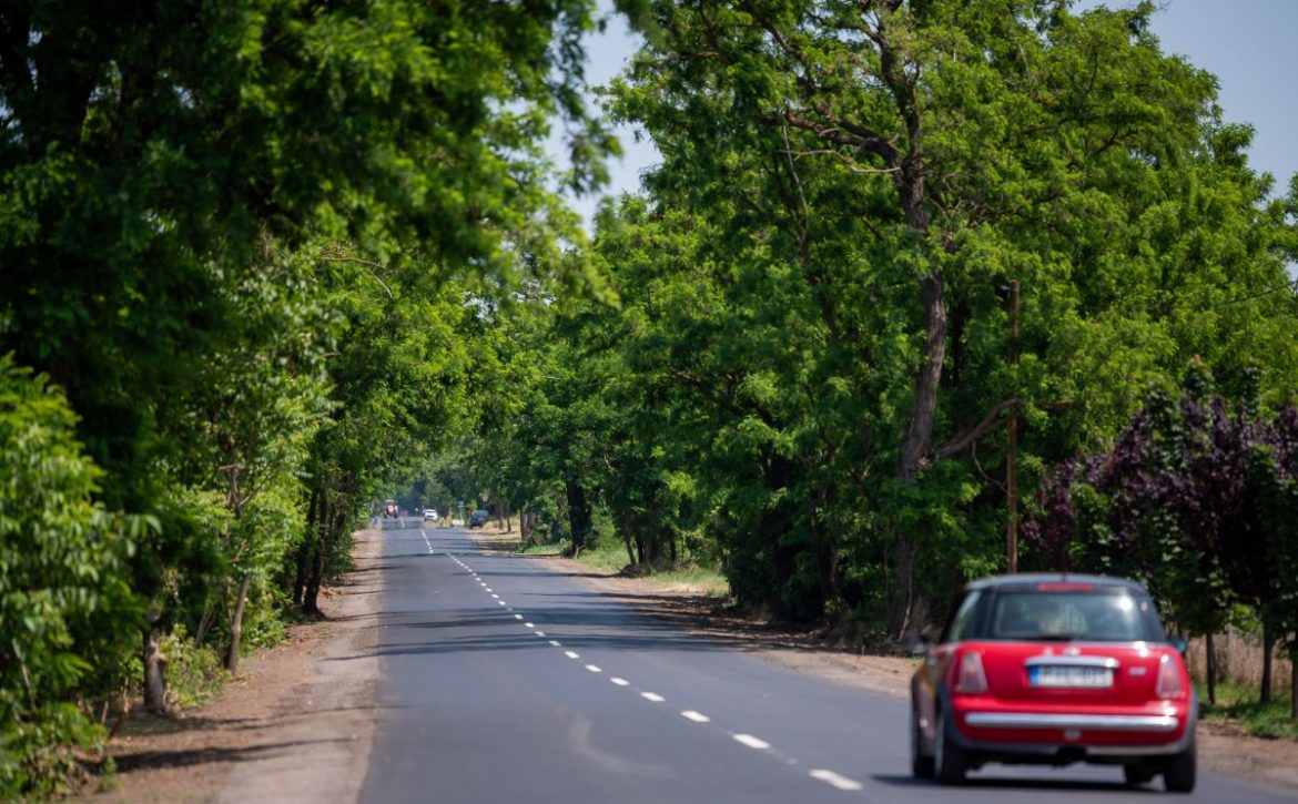 Upgrading of the entire length of the Kádár dűlő completed – Ondód access road made safer and more comfortable