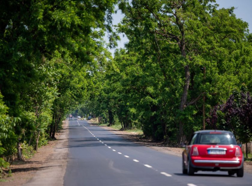 Upgrading of the entire length of the Kádár dűlő completed – Ondód access road made safer and more comfortable