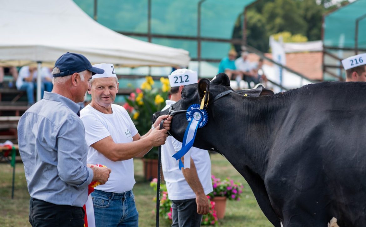 farmer expo debrecen városa
