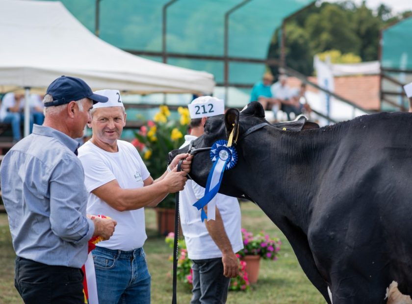 farmer expo debrecen városa