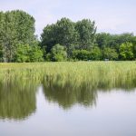 A whole ring of water could surround Debrecen