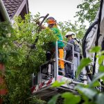 Community collaboration for the recovery of storm damage in Debrecen