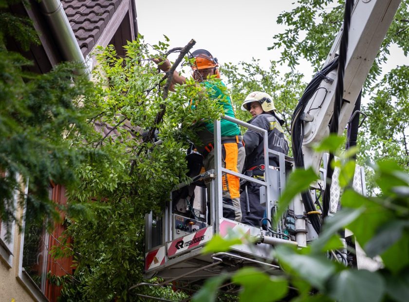Community colaboration for the recovery of storm damage in Debrecen