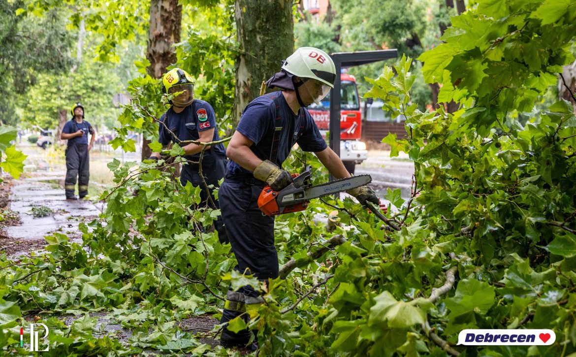 Cooperation in Debrecen is exemplary