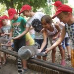 Summer adventures at the Debrecen Zoo camp