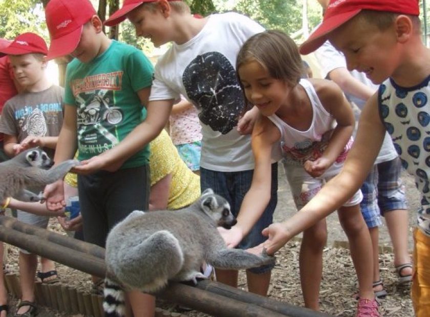 Debrecen Zoo
