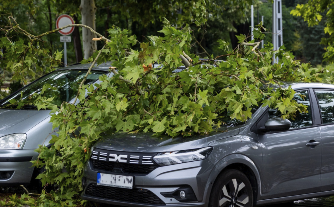 Debrecen helps Those affected by the storm can also file a compensation claim with the municipality