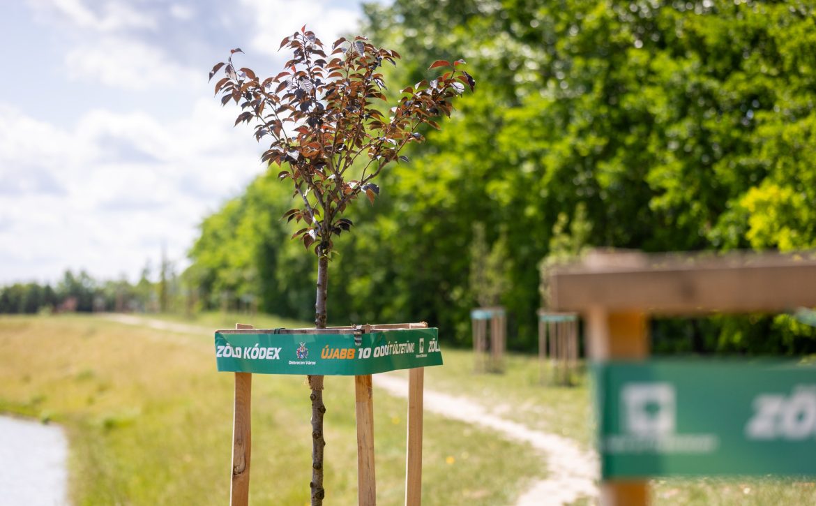 European Green Capital Award – Debrecen -Hungary