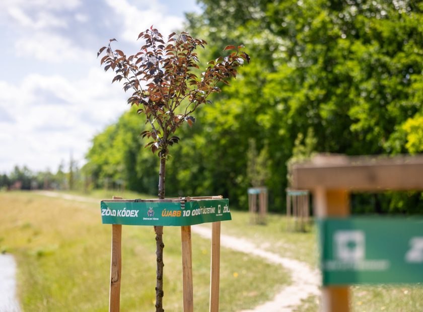 European Green Capital Award – Debrecen -Hungary
