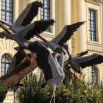 Debrecen Flower Carnival: Community Flower Float Decoration