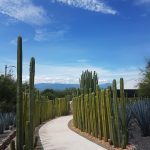 Mexican Grill Experience Weekend
