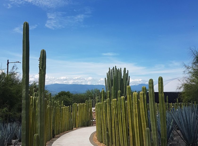 Mexico