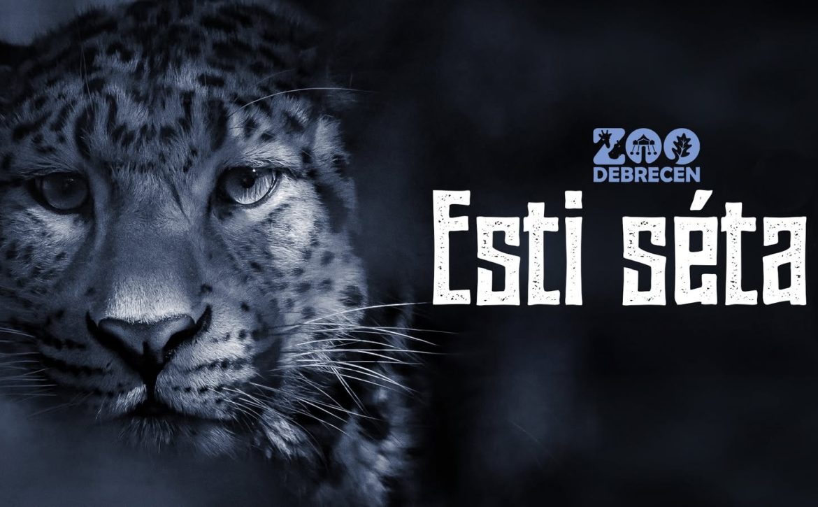 evening walk debrecen zoo