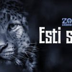 The animals of Debrecen Zoo can be seen again on evening walks