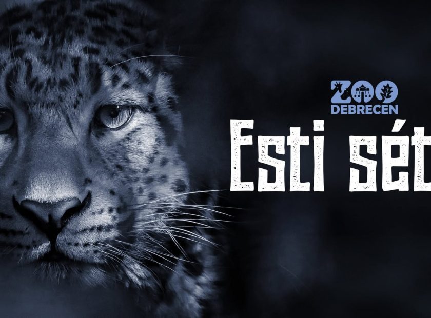 evening walk debrecen zoo