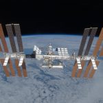 Radishes and wheat from Debrecen are already growing on the International Space Station