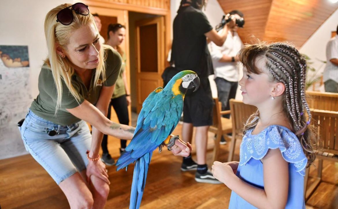 A nighttime adventure awaits visitors at Debrecen Zoo