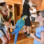A nighttime adventure awaits visitors at Debrecen Zoo