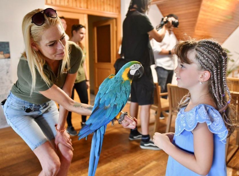 A nighttime adventure awaits visitors at Debrecen Zoo