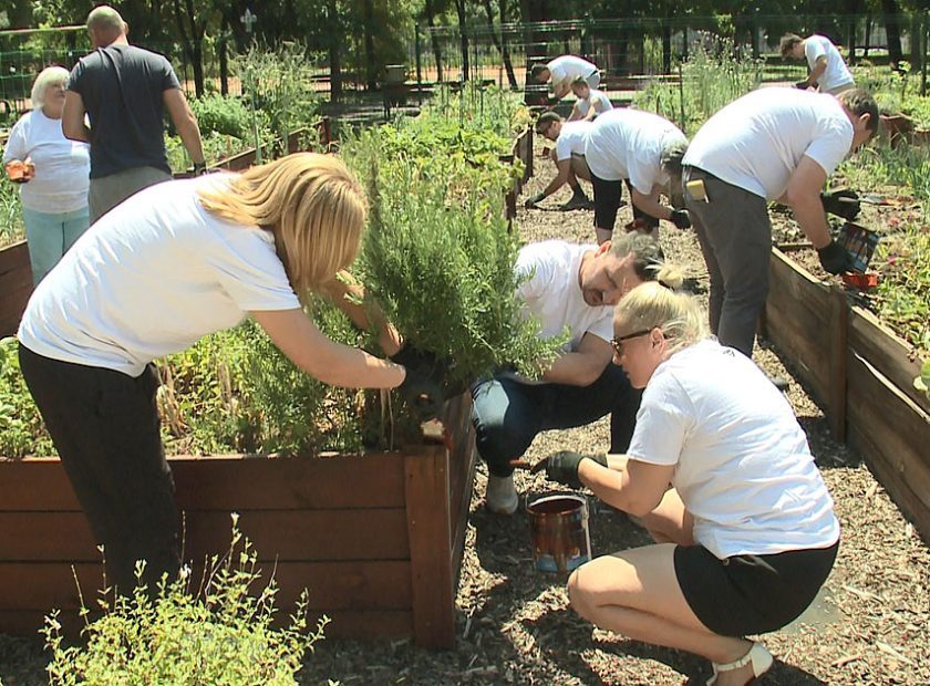Communty Garden