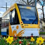At a lead-up to the Night at the Zoo event, Debrecen Zoo and DKV are launching a special service
