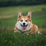 Christmas Charity Yoga