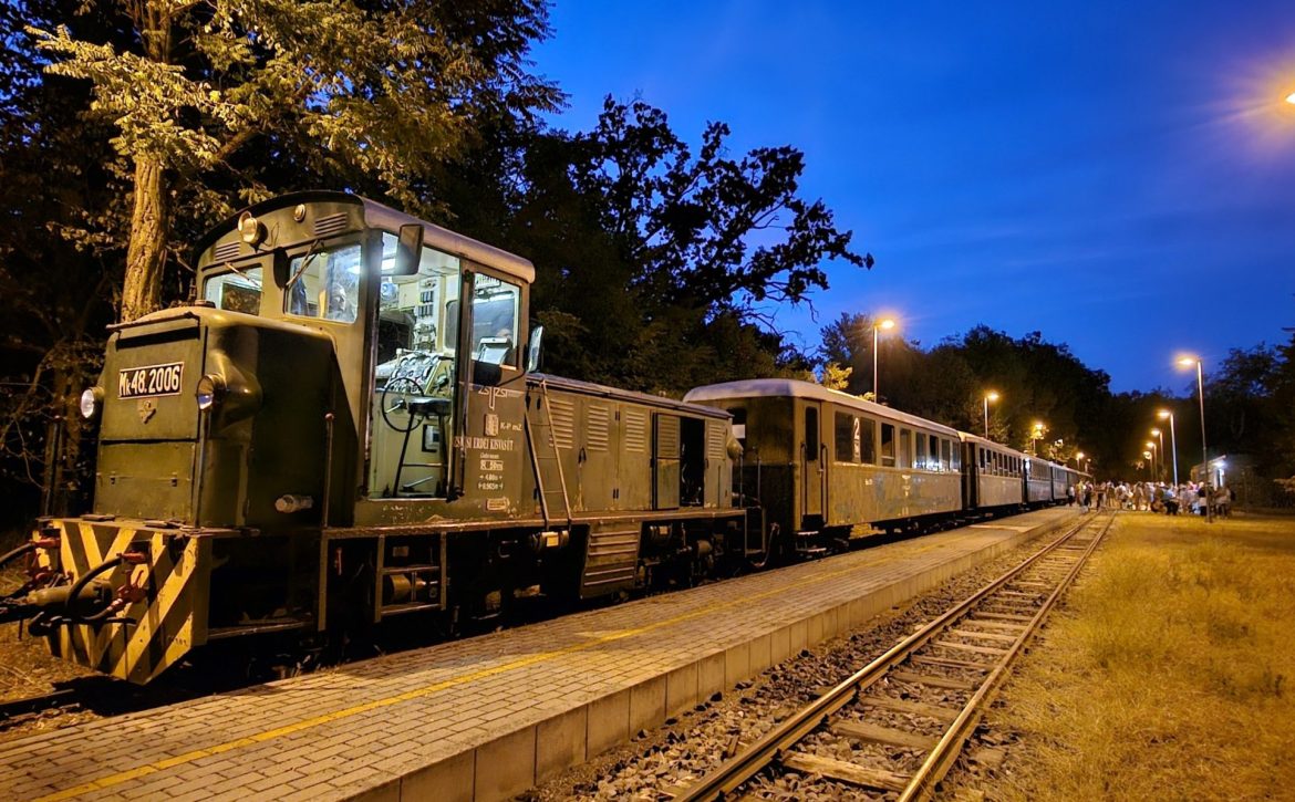 Zsuzsi Forest Railway