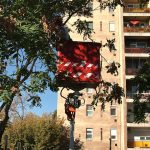 Seasonal treecare underway across Debrecen