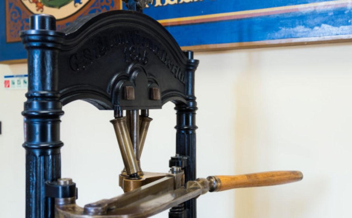 The fifth Hello, Profession! career orientation festival will take place at the end of September