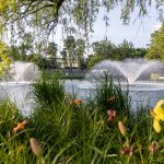 Programs in Debrecen this week