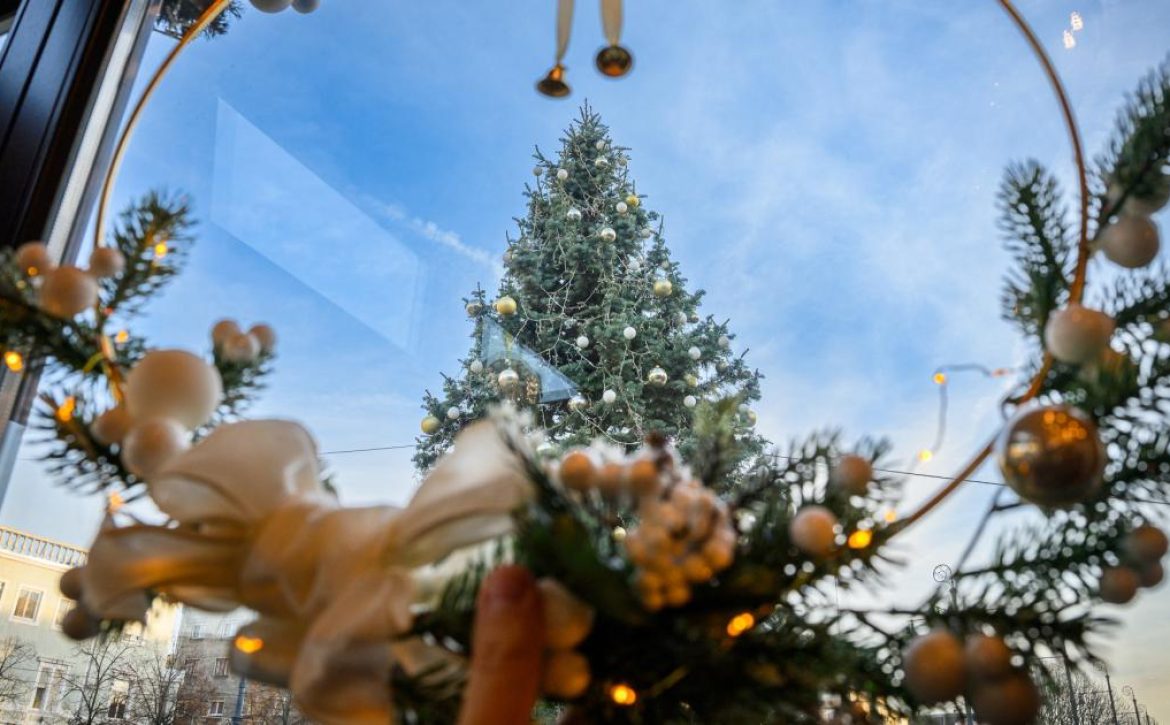 Christmas Tree_Debrecen