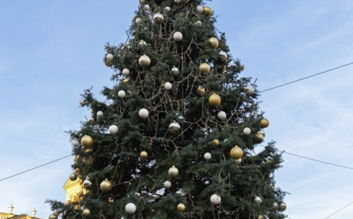 Christmas Tree_Debrecen