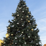 Let's find the Christmas tree of Debrecen together!