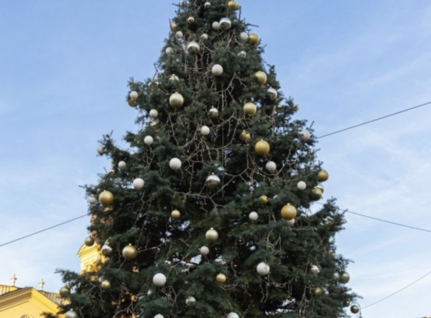 Christmas Tree_Debrecen