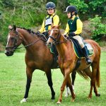 Where Young Riders Belong: Debrecen’s Places for Young Horse Lovers