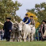 Hortobágy Autumn Livestock Return Festival