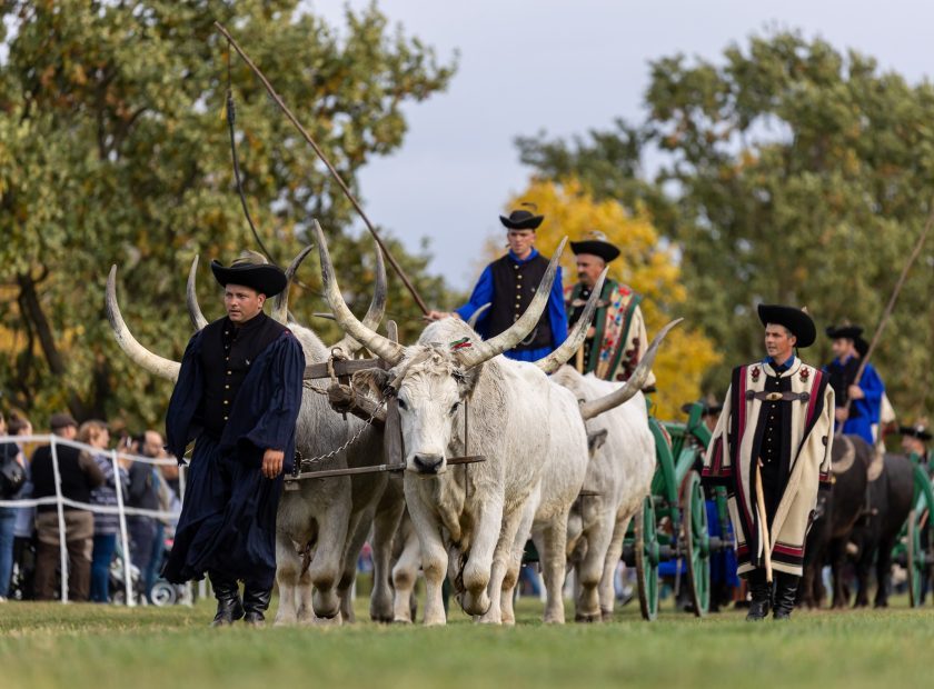 Hortobágy Autumn Livestock Return Festival