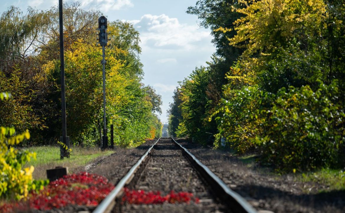 Railway line 106- development does not mean termination, but renewal