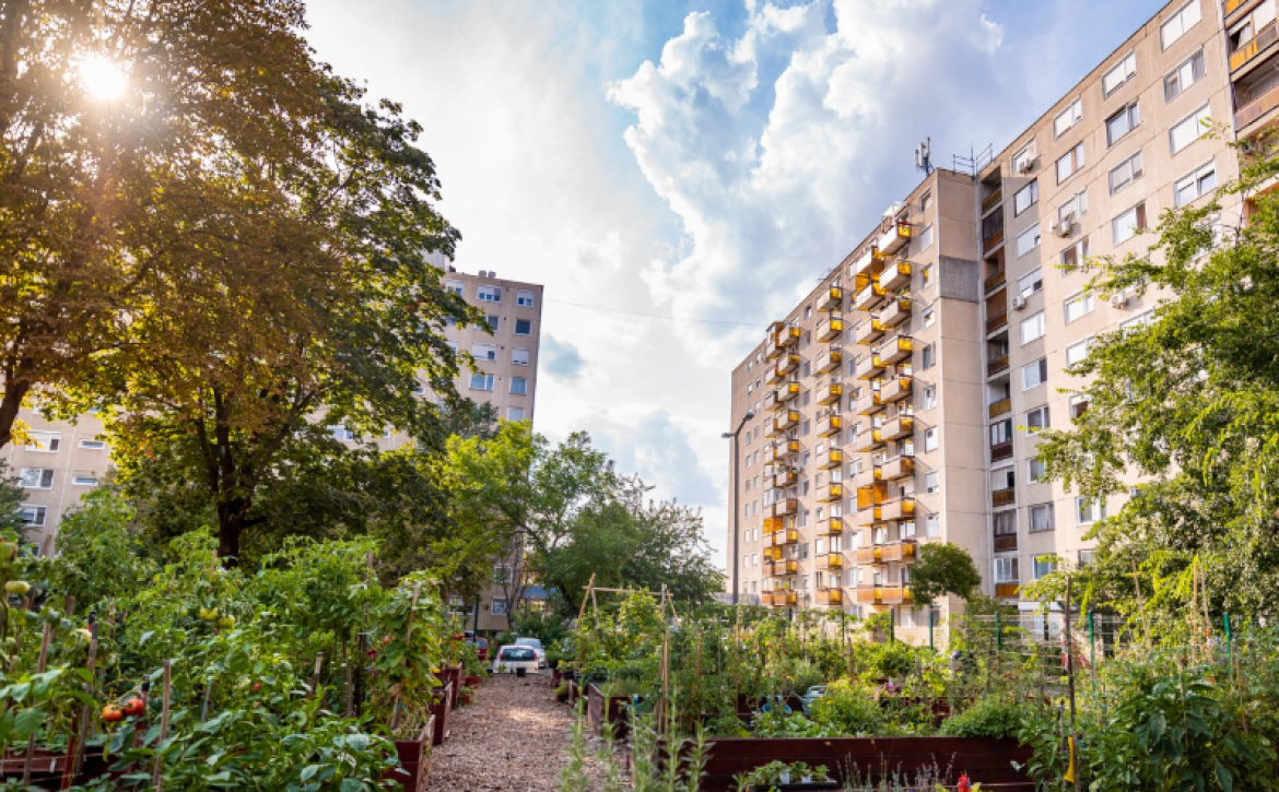 The VÃĐnkert Community Garden has once again become the most beautiful kitchen garden in Hungary